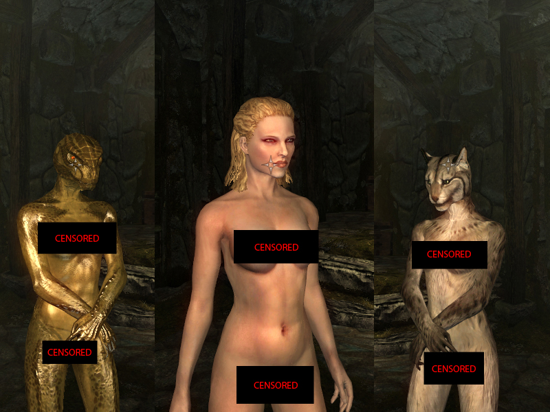 Best of Skyrim porn mods