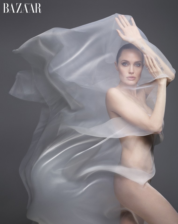 alberto rivera nieves recommends angelina jolie nude photos pic