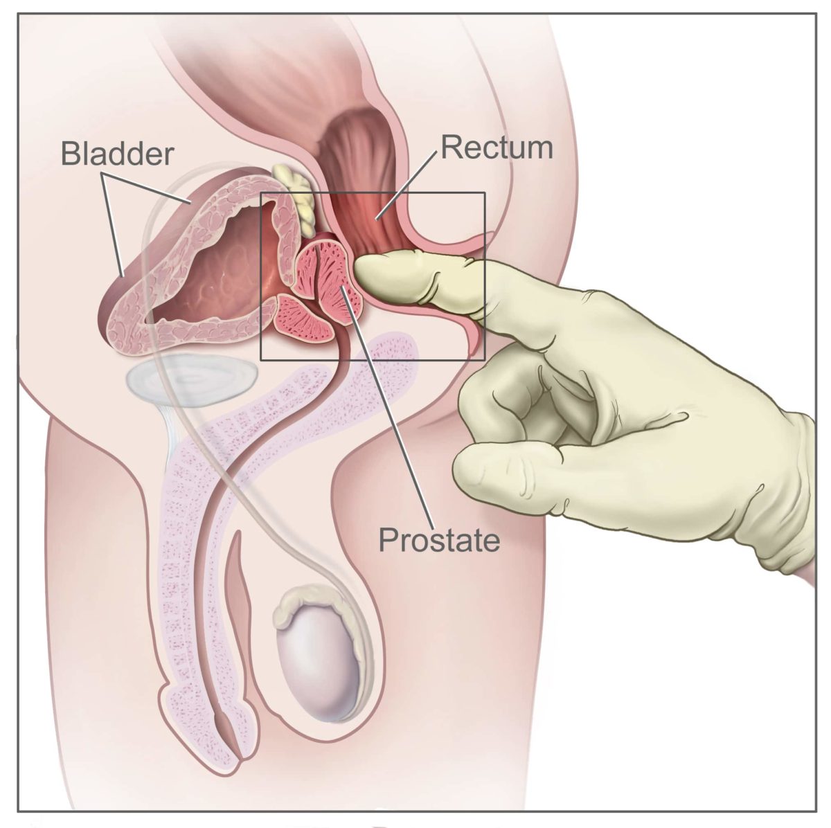adam ghazi like ass finger photo clinton briggs recommends ass finger pic