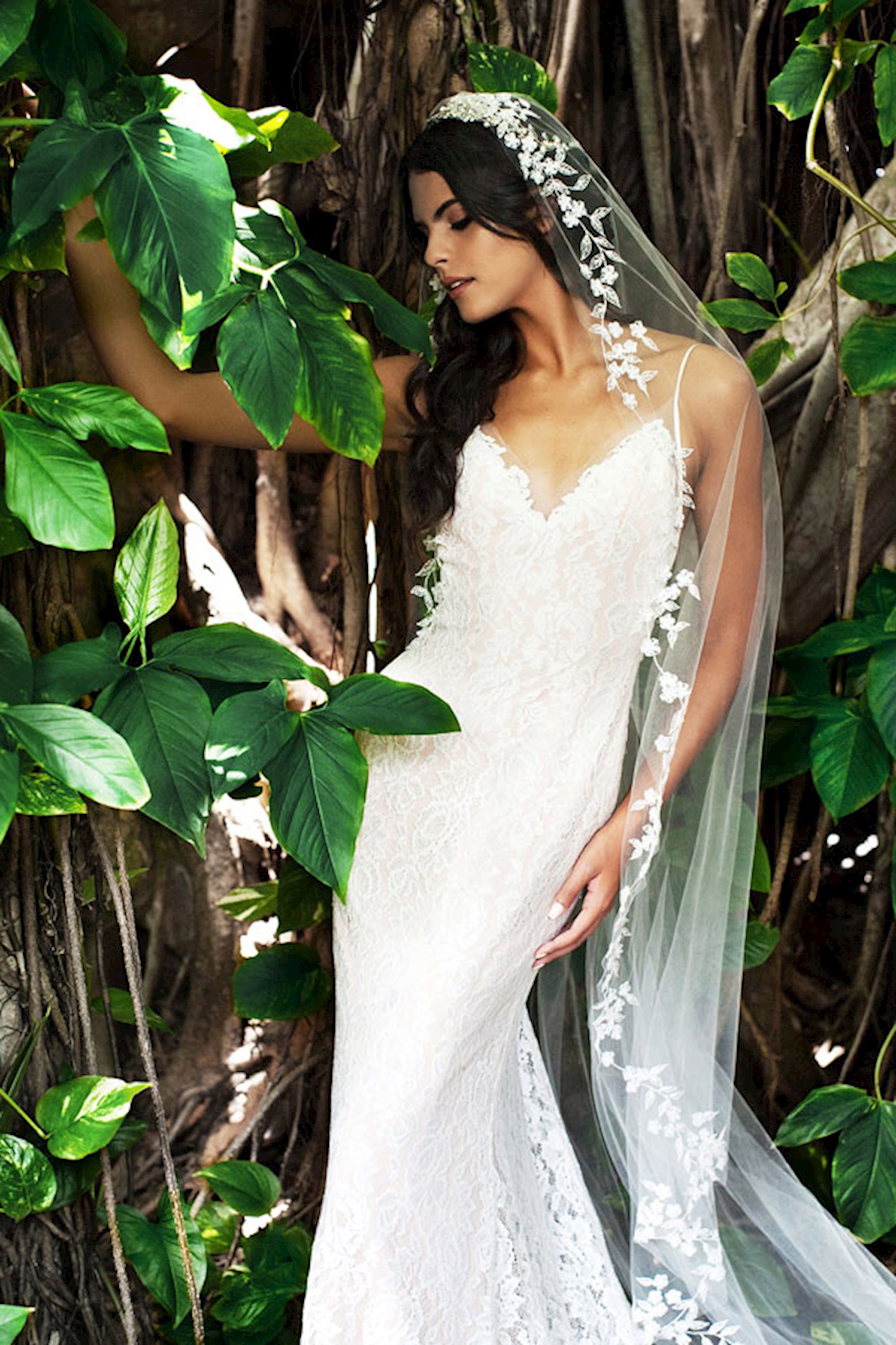 bao yaj like arianna jolie photo christopher lynch recommends arianna jolie pic