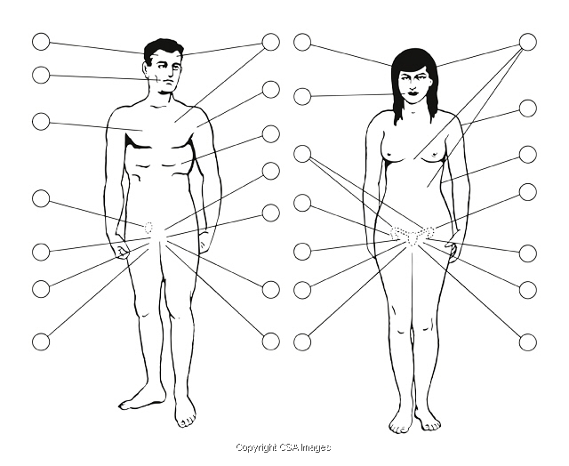 amber palermo recommends Naked Man On Woman