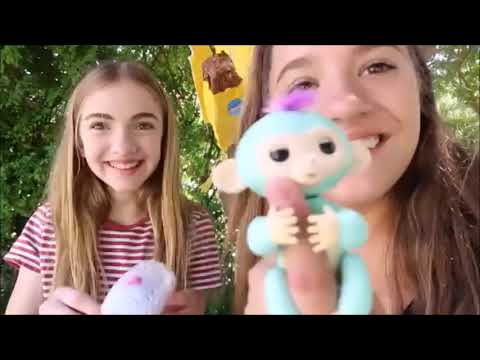 kenzie reeves pinata - proxy paige ass bbw busty brogan