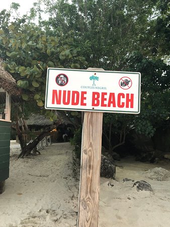 ali bou shehri recommends nudists next door bailey conway add nudists next door photo
