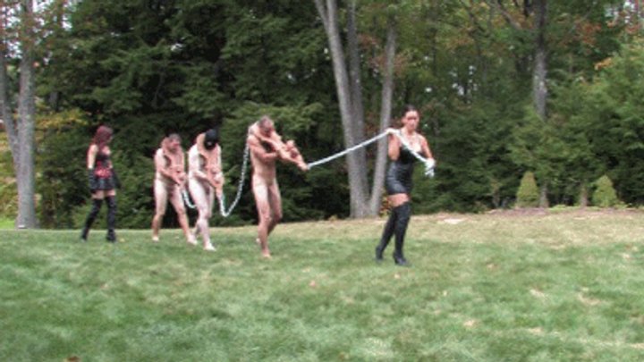 Best of Femdom auction