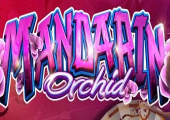 naruto and sarada porn - brook haven porn star backseat quickie