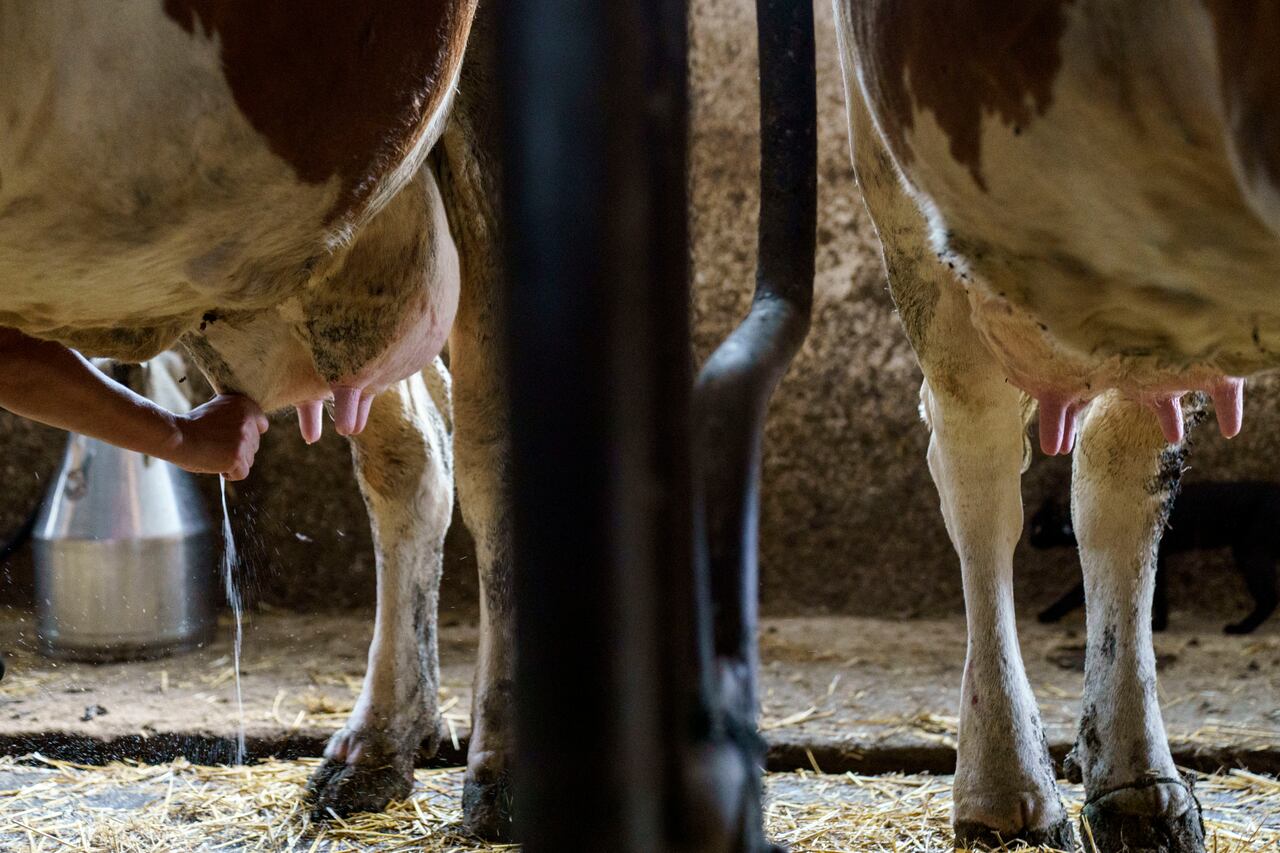 Best of Milked busted