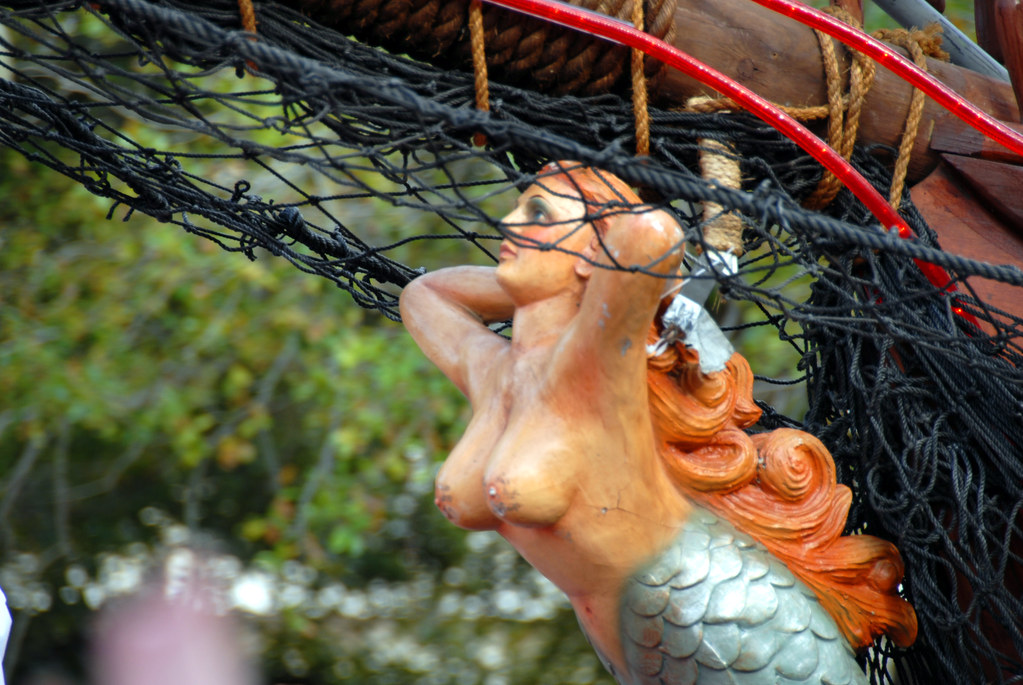 mardi gras breast flashing menn swinger mardi gras breast flashing