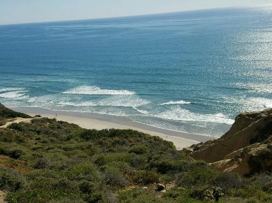 dan barkas recommends california nudes pic