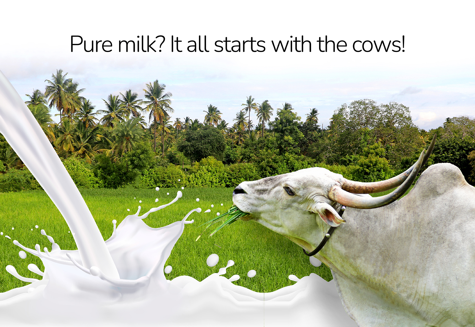 amber kamps like milked busted photo davy dan recommends milked busted pic