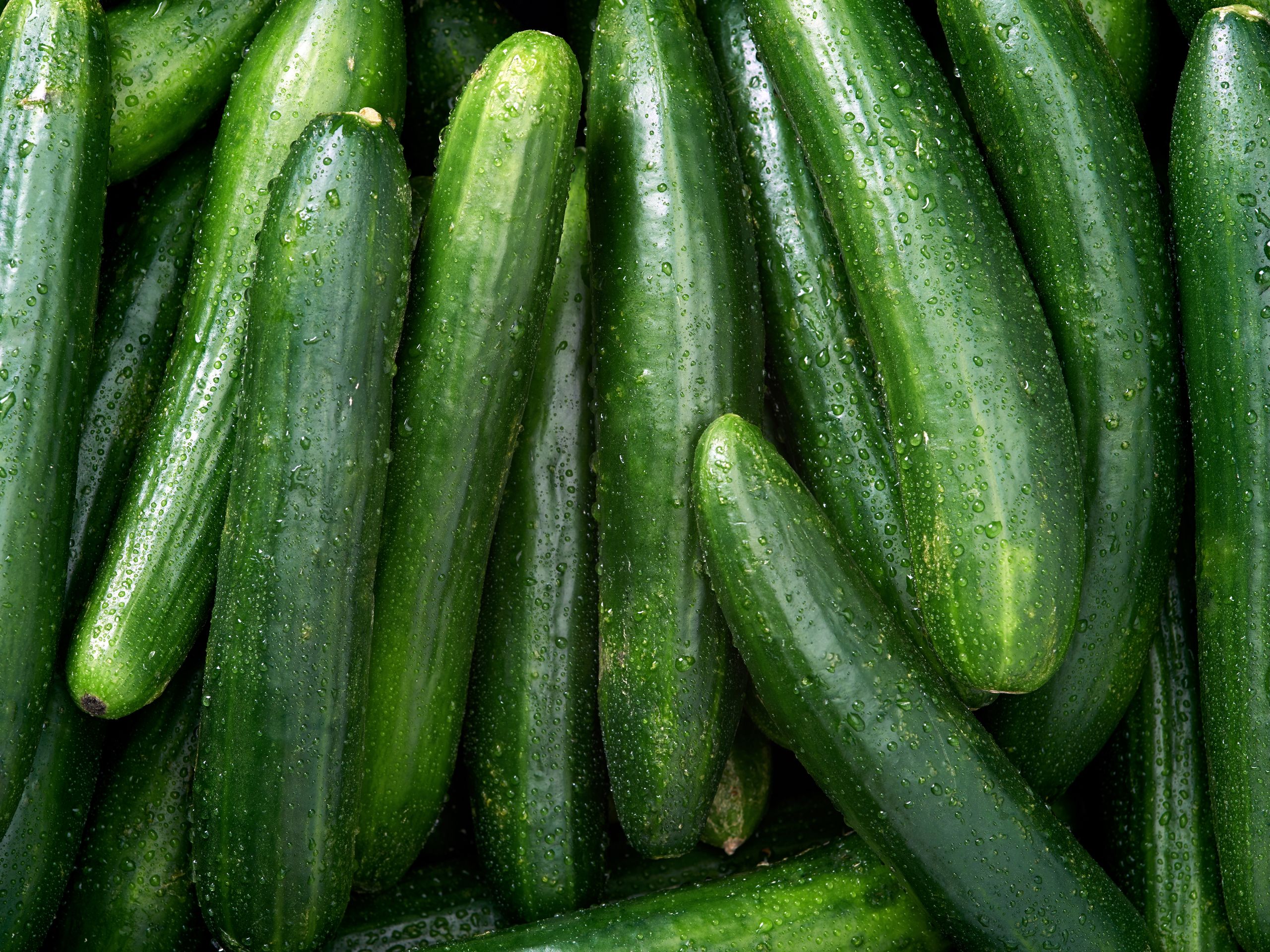 Come in mouth chicks nude Cucumber In Pussy ts backpage