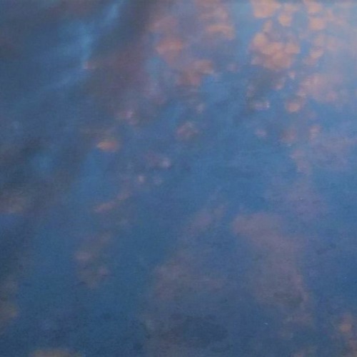 david olvey recommends katrin celeste pic