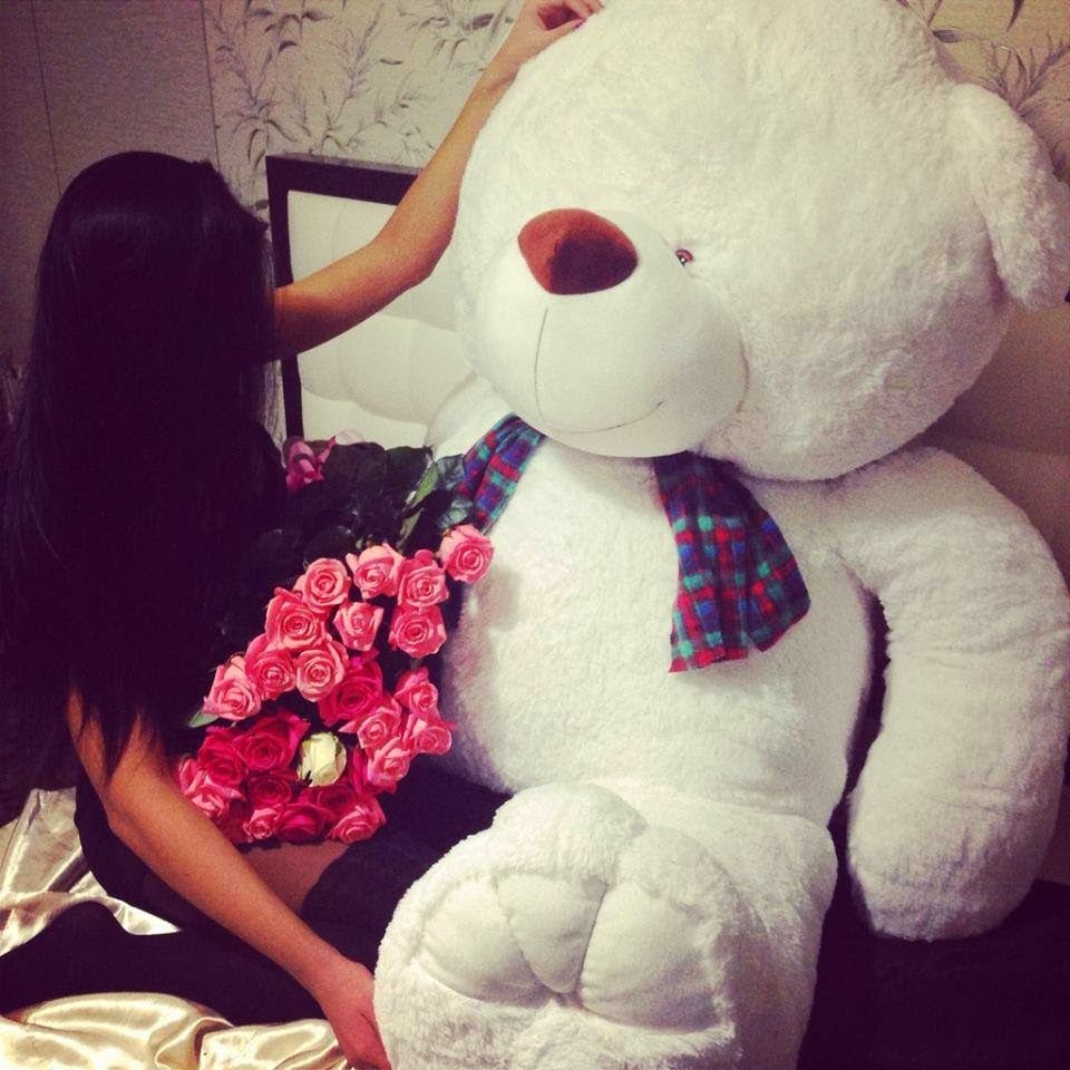 teddy bear facesitting - hot anime anal privatevoyeur com