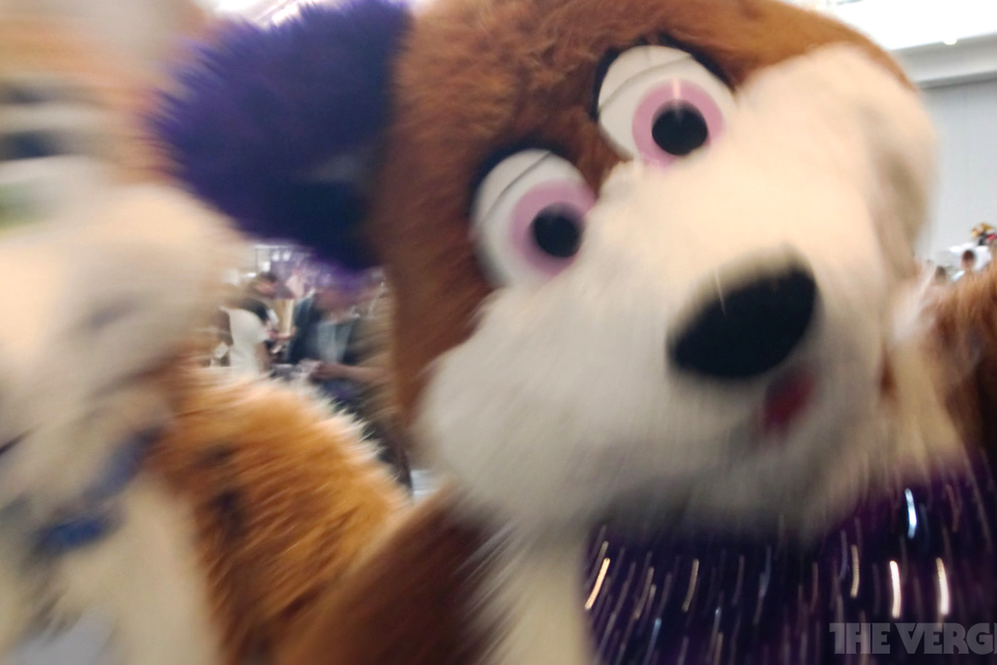 chad mahoney like sexual fursuit photo abbas ajami recommends sexual fursuit pic