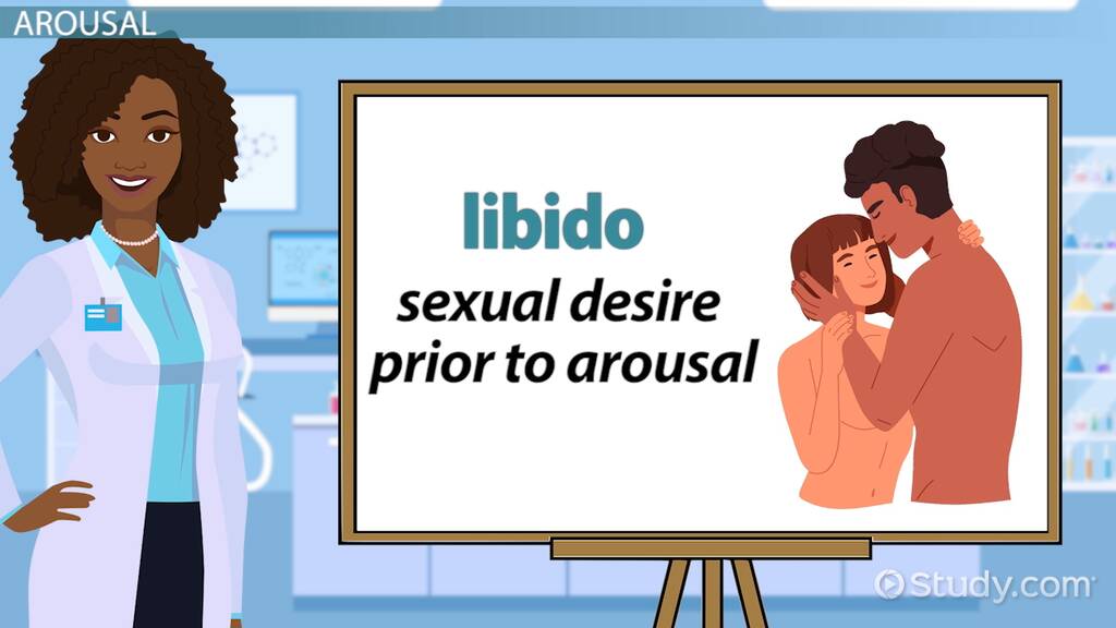 Best of Sexual intercourse educational video