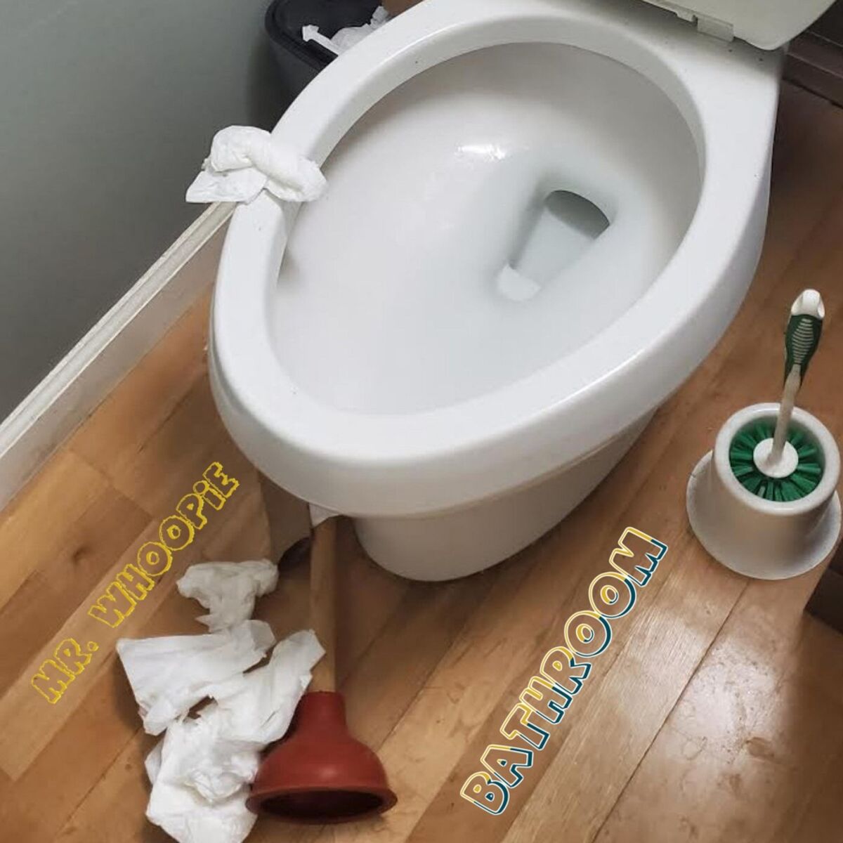 bader majeed recommends Bathroom Boner