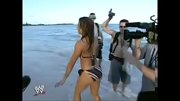 andrea mcareavey recommends Wwe Divas Porm