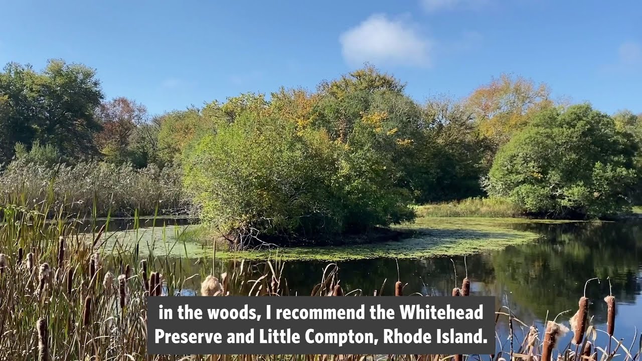 ankit naik recommends brook little beryl boulton add brook little photo