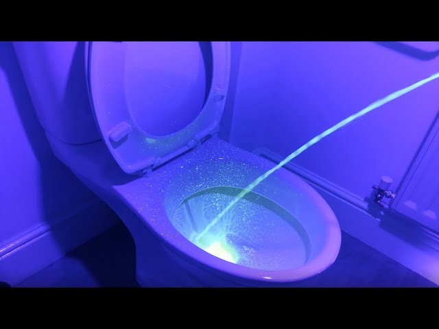 Toilet Cam Pee page tampa darwin lastimado recommends Toilet Cam Pee