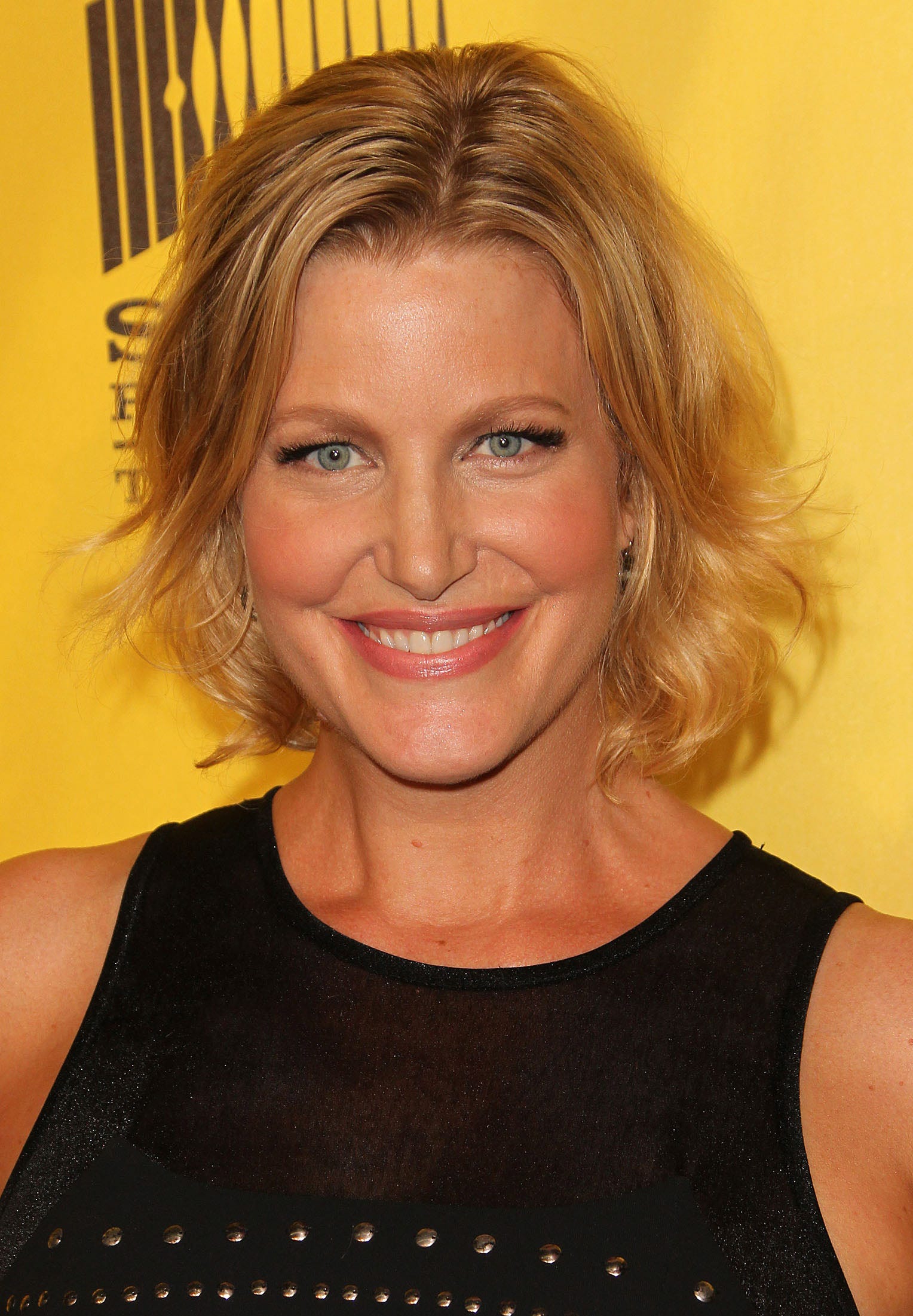 devin dran like anna gunn sexy photo charmaine may recommends anna gunn sexy pic