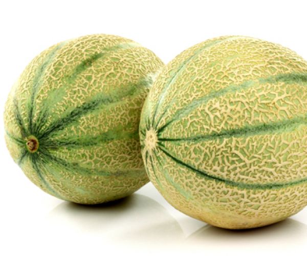 Best of Tits and melons