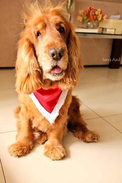 davis owens like bibi noel photo bethany hauser recommends bibi noel pic