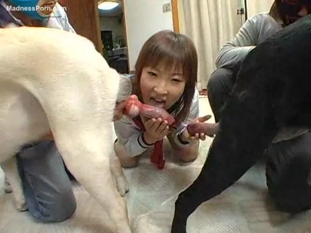 asian girl giving head - sasha blonde velvetveronica porn