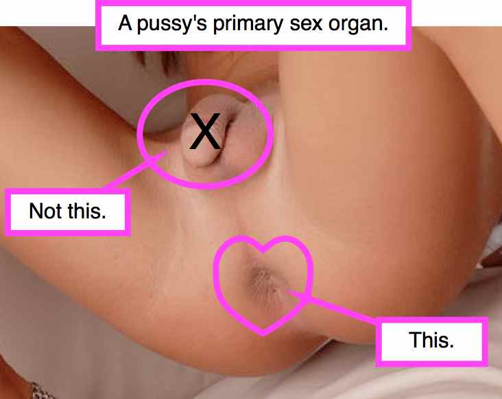 consenual non consent porn - moxy mary nude amateur mature woman porn