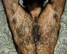 brian gamby recommends Hairy Spread Legs