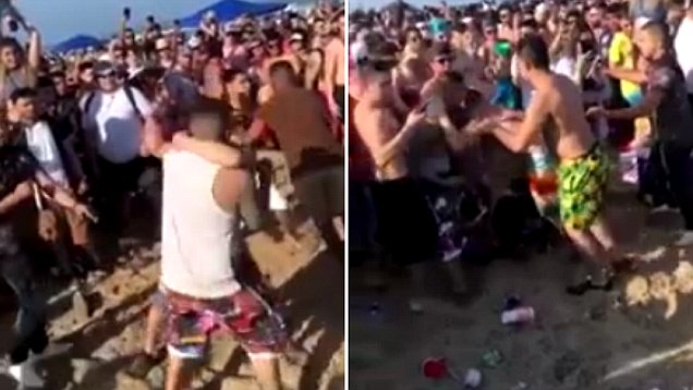 carlos portales recommends Spring Break Groped