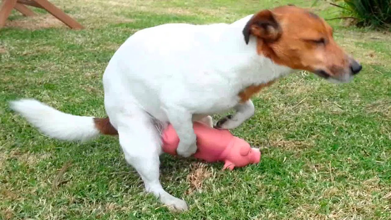 allen snook recommends Beachbunniebabe Videos