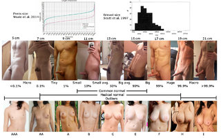 belagurki yeshwanth like penis visualizer photo belajar bahasa inggris recommends penis visualizer pic