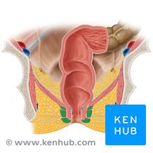 charles power recommends high def anal pic
