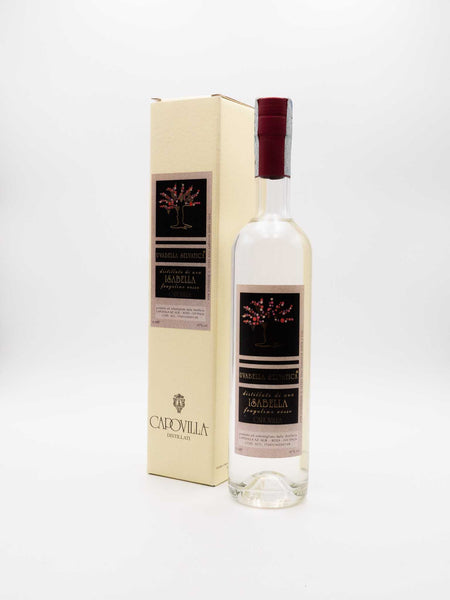 bourdet isabelle recommends isabella rossa pic