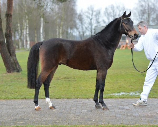Mimi The Stallion sexy women allen gbemisola recommends Mimi The Stallion
