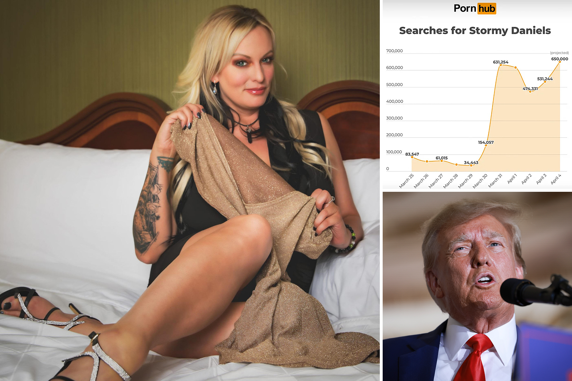 dana sage add stormy danials porn hub photo