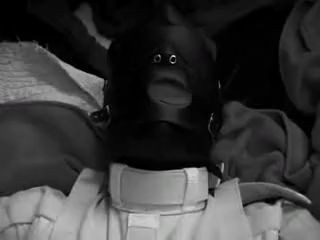 elephanttube com - willow ryder propertysex tied to a sybian
