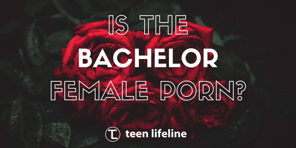 bachelor porn bdsm tubes bachelor porn