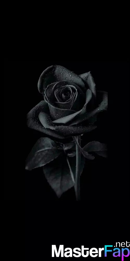 boy sany recommends black rose only fans pic