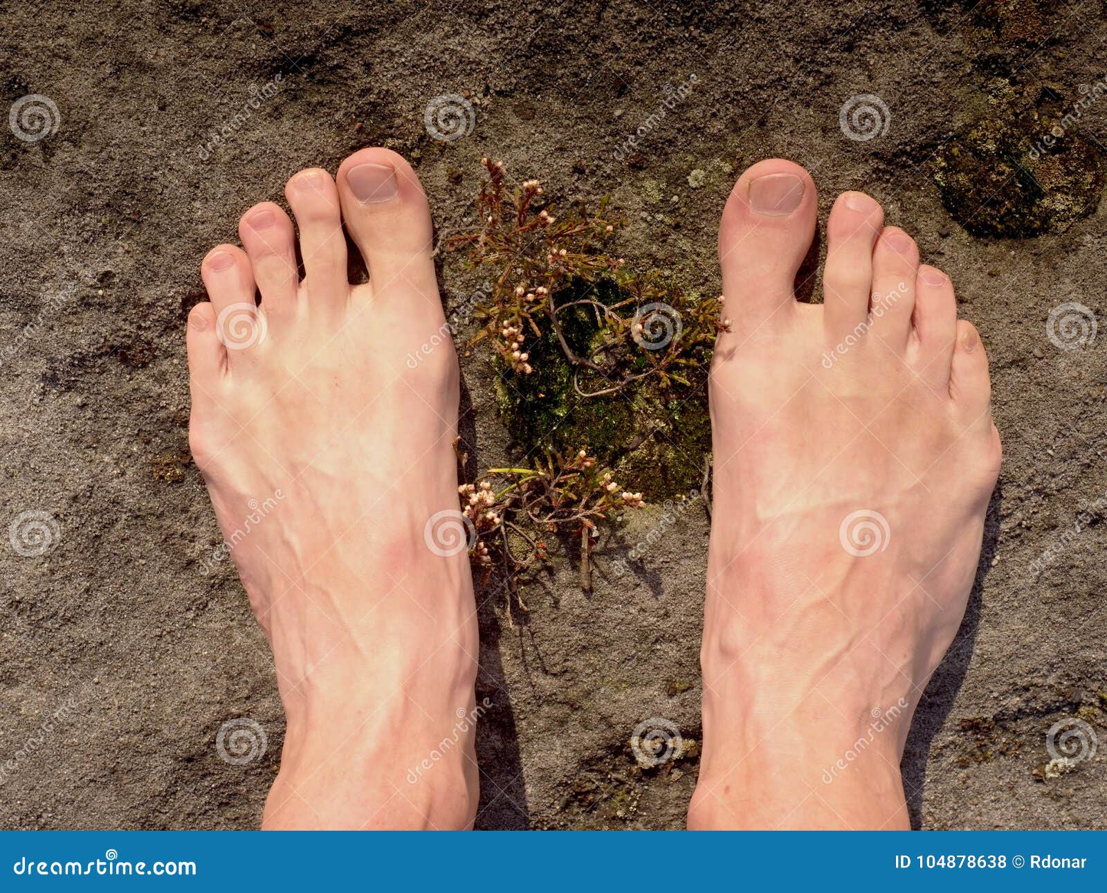 Naked Male Feet always appetizing andrew rives recommends Naked Male Feet