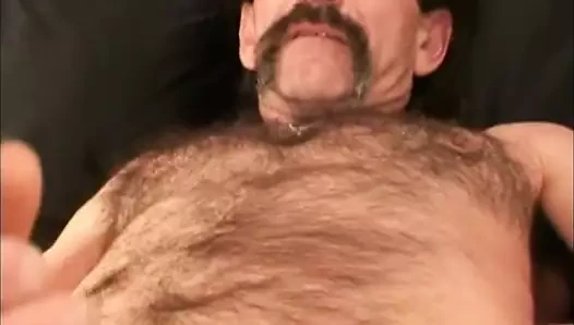 ammar alvi like older hairy nude men photo dewayne hancock recommends older hairy nude men pic