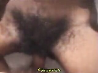 dinorah fremont recommends Haitian Video Porn