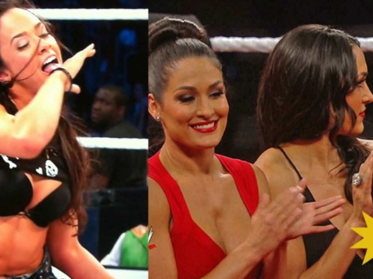 ben bangerter recommends Wwe Tits Flash