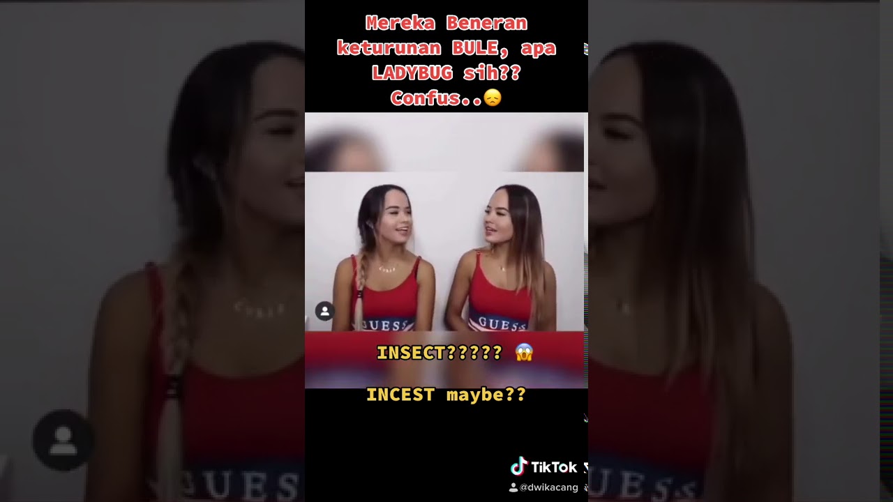 hannah haze porn