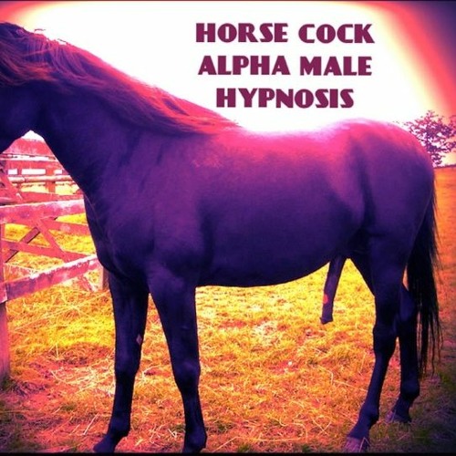 Home sex tapes hairy butts Hypnotized Cock la homosexualidad