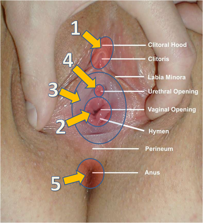 carl gledhill like mastu clit photo antonius cahyo recommends tit sling pic