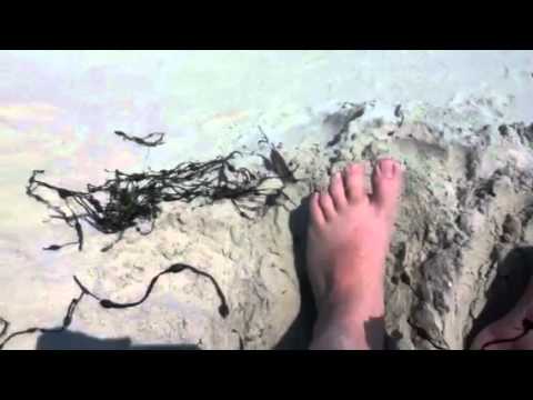 foot worship slavery - teagen james self sucking ts