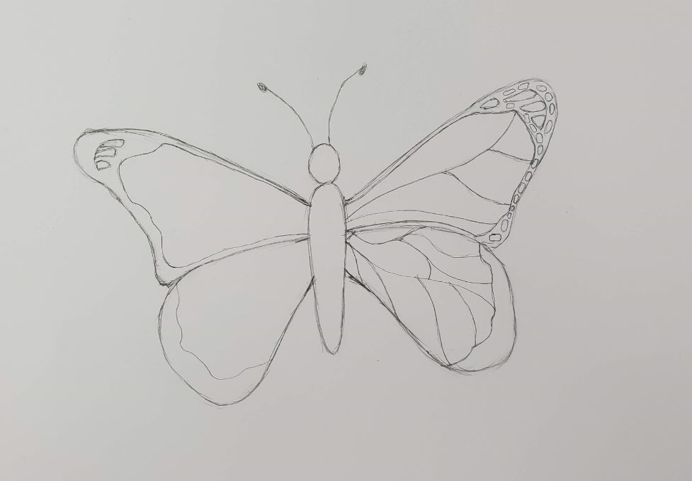 Best of bannedstories porn bhavya khurana share drew butterfly photos