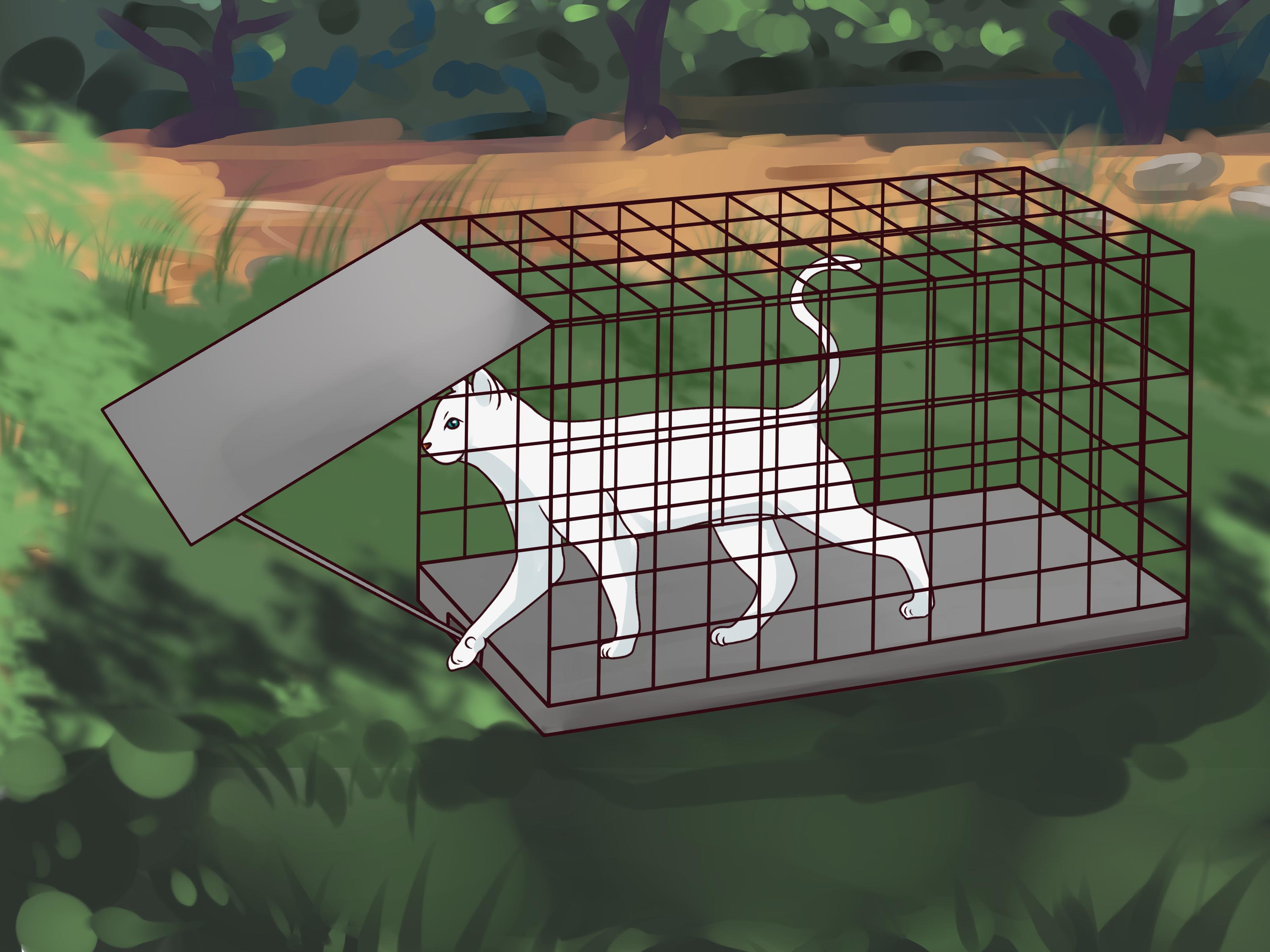 trap the cat porn game - christina khalil of leak sabina black