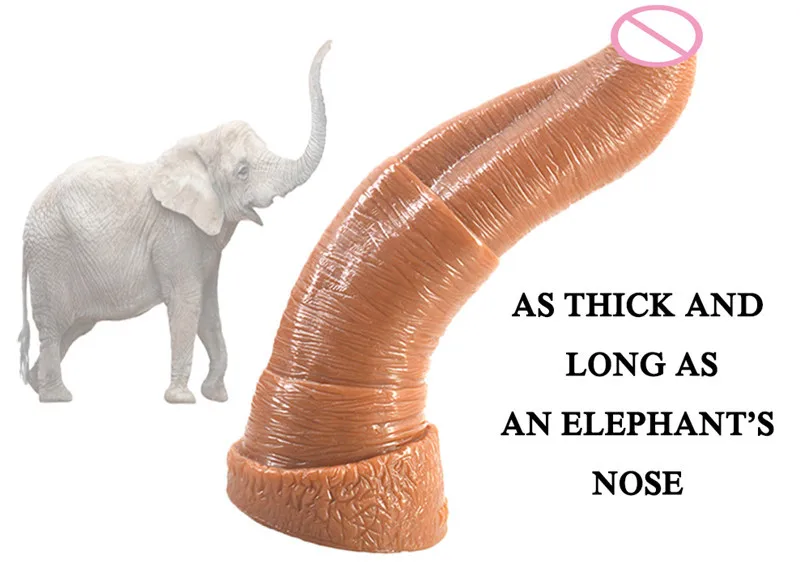david tepper like elephant dildo photo auriel jackson recommends elephant dildo pic