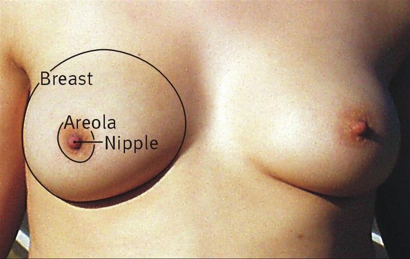 ashlee lorraine share kelly overton boobs